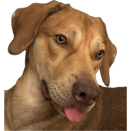 I don’t get why he does this. Legit just sticks his tongue out sometimes.