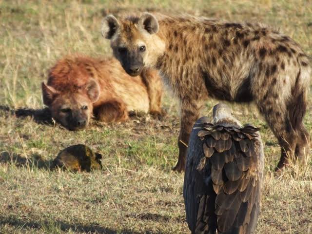 Anlık beşiktaş taraftarı.
<a href="/Ankaragucu/">MKE Ankaragücü</a> <a href="/gecekondu/">Gecekondu</a> <a href="/Besiktas/">Beşiktaş JK</a> <a href="/forzabesiktas/">çArşı</a>