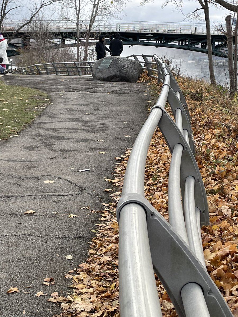 PayalRohira1's tweet image. ‘Curved’

#themeoftheday