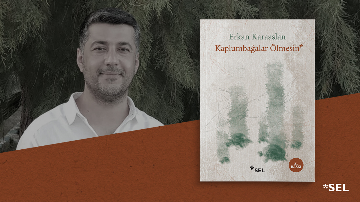 'Can alıcı, güncel ya da güncelliğini yitirmemiş, insana, topluma dair konuların akıcı ve sade bir dille anlatıldığı farklı zaman ve olaylara ait öyküler, yazarın zihninde, gönlünde iyice demlenmiş, özgün bir tat ve olay örgüsüyle sunulmuş. ' Gülcan Ayral, Kaplumbağalar Ölmesin