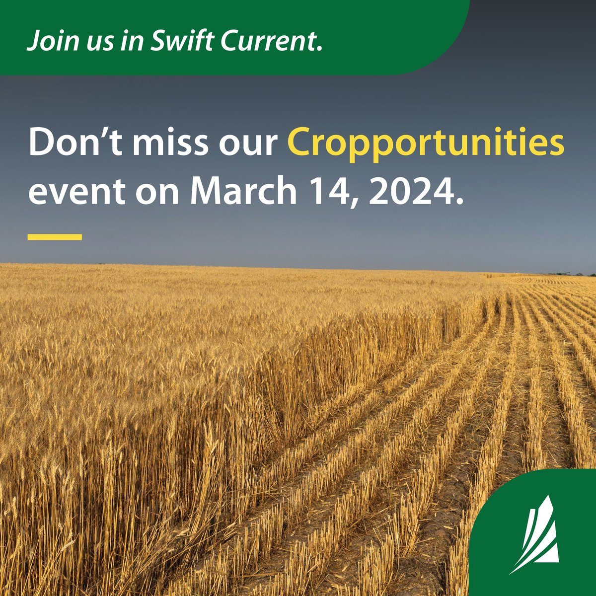 Sask Agriculture tweet media