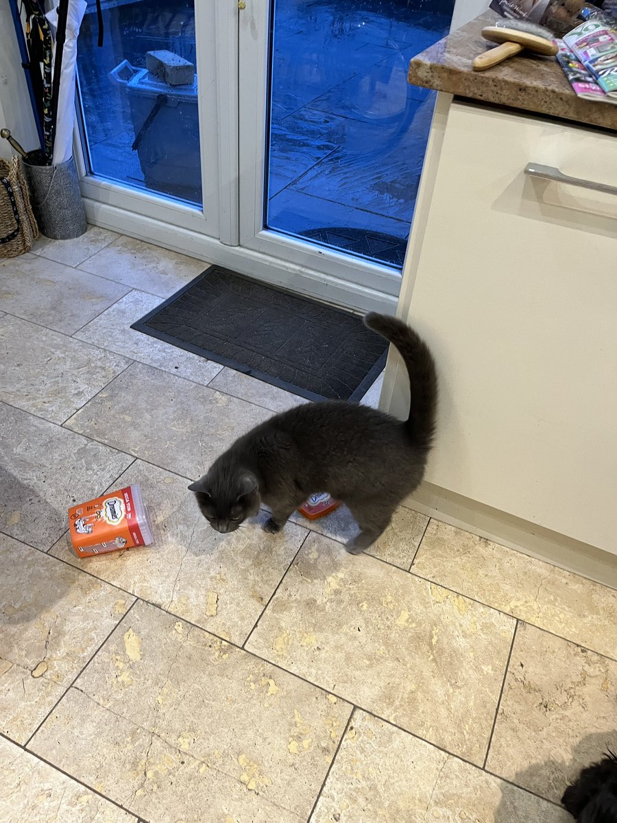 Susan Douglas-Scott tweet media