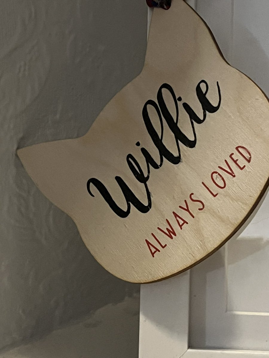 Male Slavea says it is 6 months to the day that I passed over the rainbow 🌈 bridge, but female Slavea says it will be on Thursday the 29th a leap year .  But I know whatever there will be leaky eyes