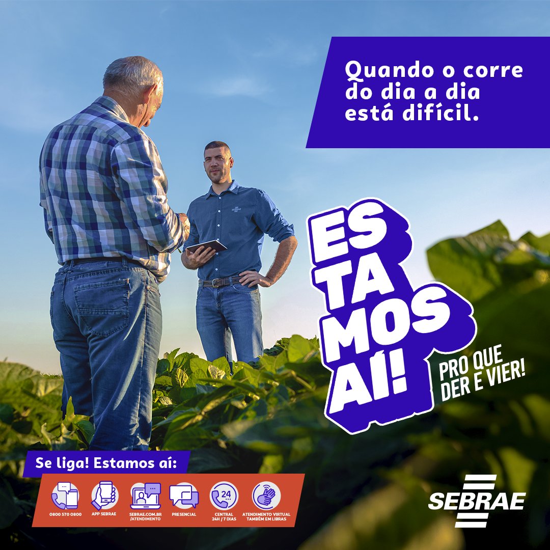 sebraegoias's tweet image. Converse com o Sebrae de forma fácil e acessível! Estamos prontos para te oferecer consultoria personalizada sobre seu negócio. ✅

Clique no link e descubra todos os nossos canais de atendimento: sebrae.com.br/sites/PortalSe…

#sebraegoias #canaisatendimentosebrae