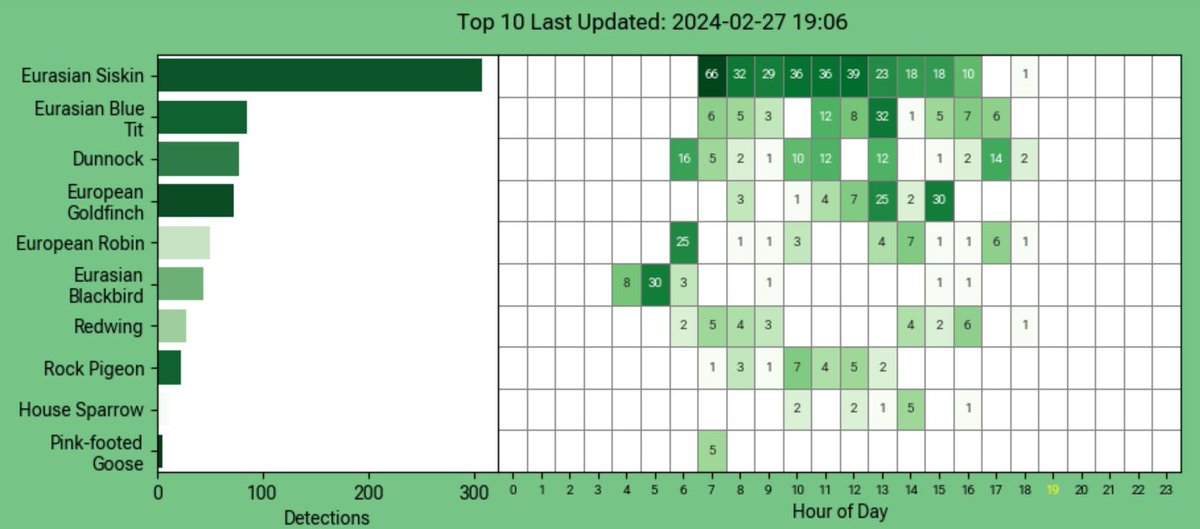 art_fashy's tweet photo. Nothing overnight - Siskin dominating the feeders again today. passing Coot or 2, and a potential Reed Bunting #BirdNetPi
Suspect the Eider and Green Winged Teal are anomalies https://t.co/1isg31CFL4