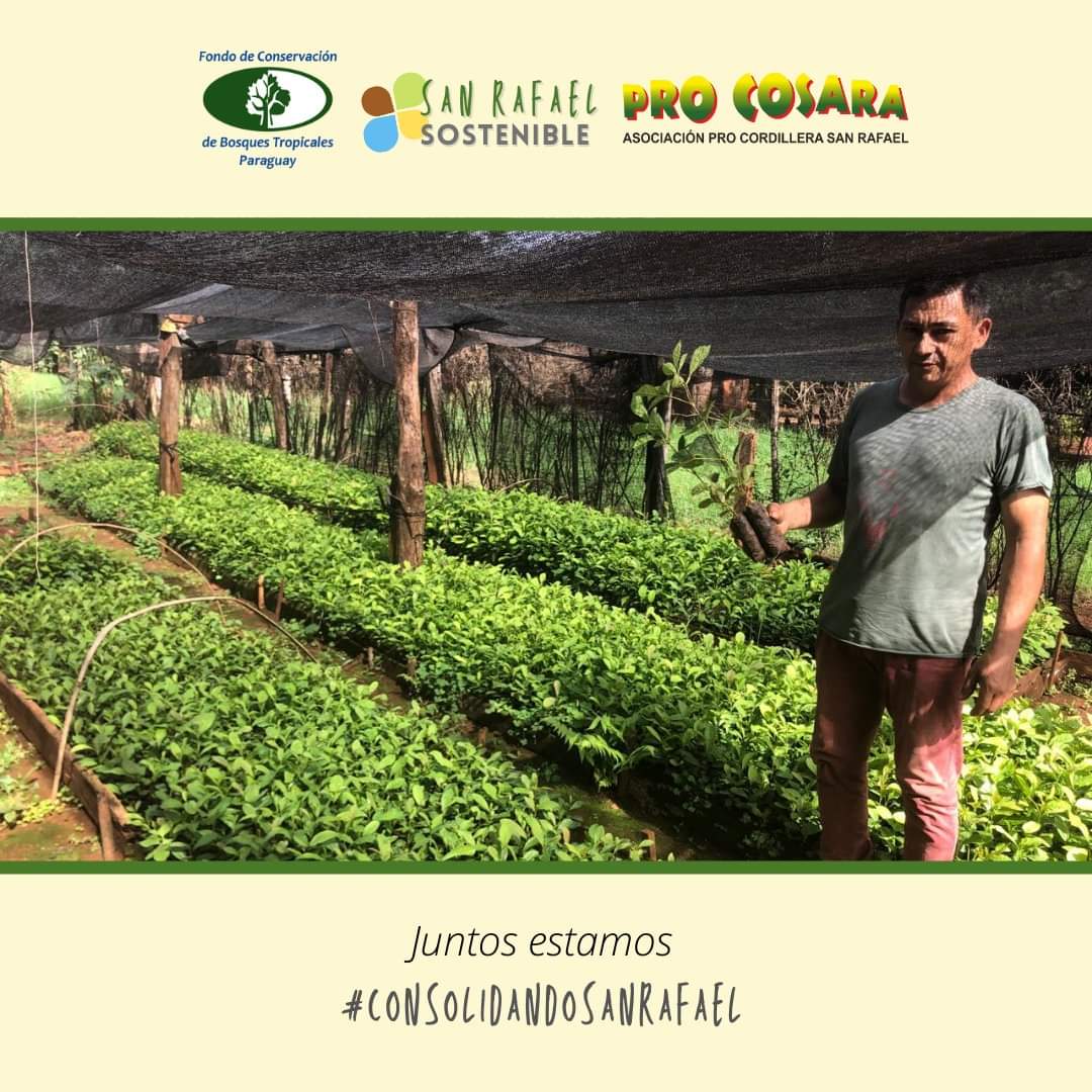 PRO COSARA tweet media