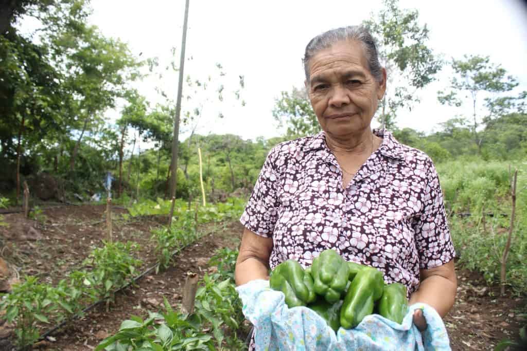 ADRAIntl's tweet photo. Today, on National NGO Day, ADRA proudly champions sustainability through our #GoGreenWithADRA initiative! 🌿 Together, we're safeguarding communities and building a greener, brighter future for all. 💚 #GOGREEN  #GoGreenWithADRA https://t.co/kXdPzUi1KF