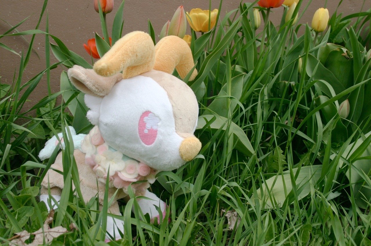 Tabi follylolly.bsky.social on X Reposting this shiny spring Skiddo plush I made a while back for PokemonDay I m so excited about the new announcement omg omg https t su49TrXQGx X