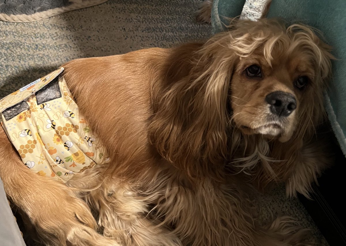 THE HERD HOUSE tweet media