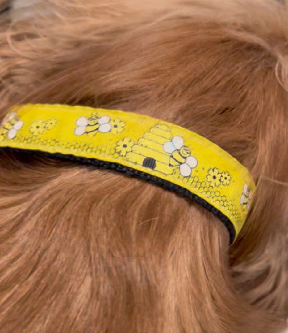 THE HERD HOUSE tweet media