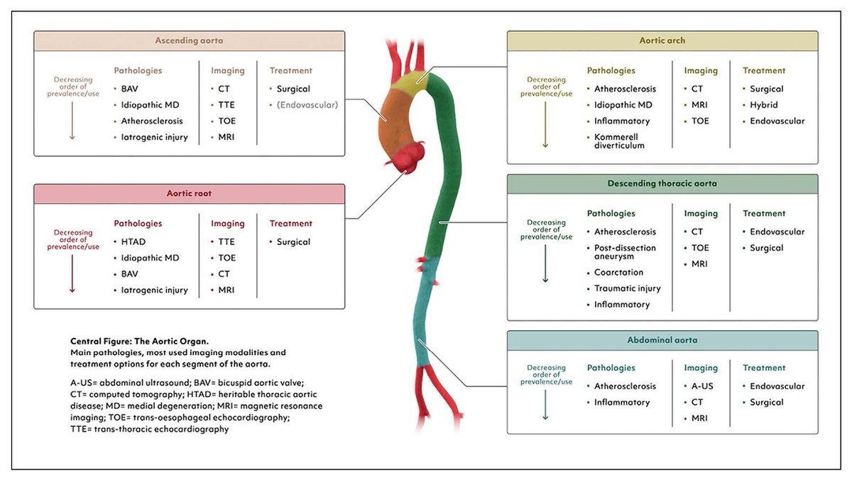 .@STS_CTsurgery & @EACTS co-published Guidelines for Diagnosing and Treating Acute and Chronic Syndromes of the Aortic Organ 👇 doi.org/10.1016/j.atho…