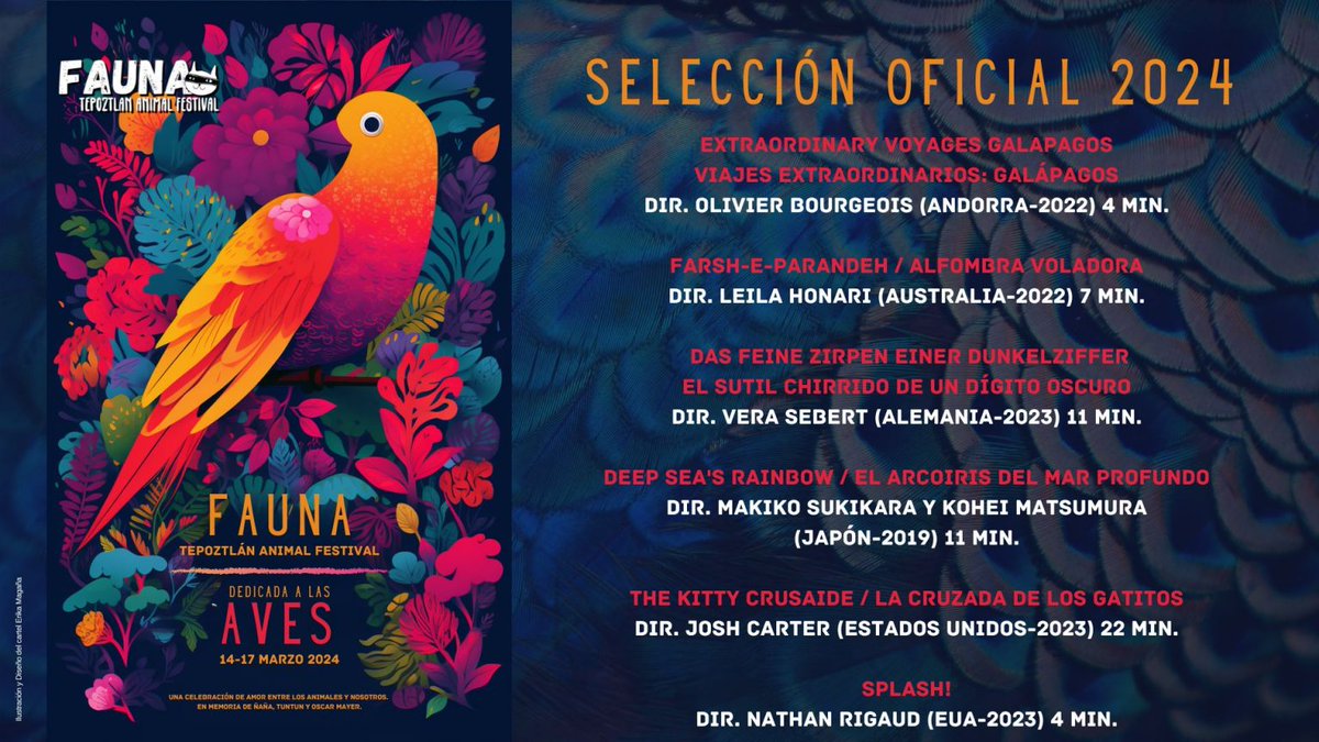 CAT CITY is an official selection of the 7th annual @FAUNAFestTepoz taking place March 14-17th in the city of Tepoztlán, Mexico. A portion of each ticket sale will be donated to a local #animalshelter. Learn more about #faunafestival at the link in our bio 🐈