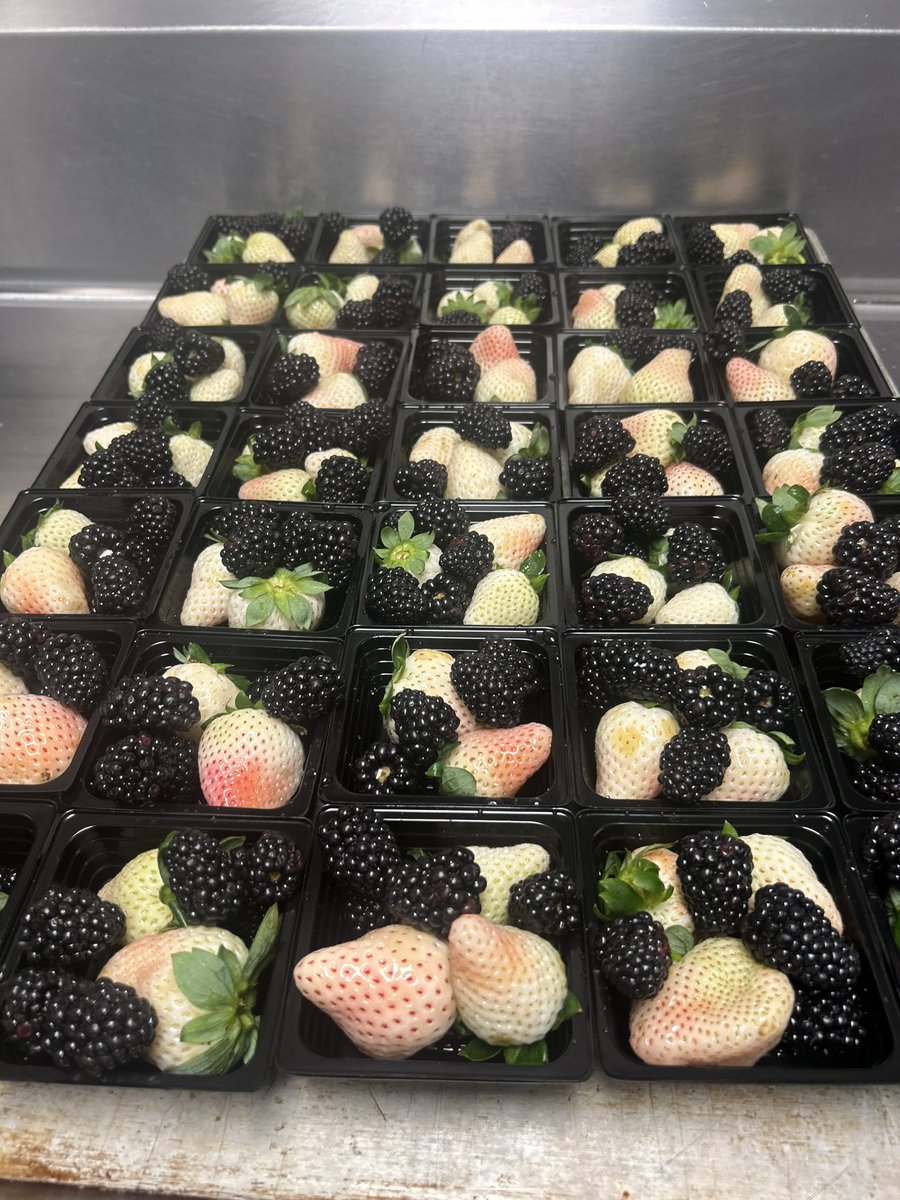 Nicolle Bazant Pleil (@sfsdfoodservice) on Twitter photo Busy day of pineberries and homemade hot dog wraps🍓🍓<a href="/tnetrinitypride/">Trinity North Elementary School</a> <a href="/Trinitywestbest/">Trinity West</a> @MrsBenzEastElem <a href="/KeruskinPete/">bet8KU游TX体育BBV体育彩娱乐下注MG真人雷火电竞生肖天际猎人英皇体育华纳飞亚体育</a> Busy day of pineberries and homemade hot dog wraps🍓🍓<a href="/tnetrinitypride/">Trinity North Elementary School</a> <a href="/Trinitywestbest/">Trinity West</a> @MrsBenzEastElem <a href="/KeruskinPete/">bet8KU游TX体育BBV体育彩娱乐下注MG真人雷火电竞生肖天际猎人英皇体育华纳飞亚体育</a>