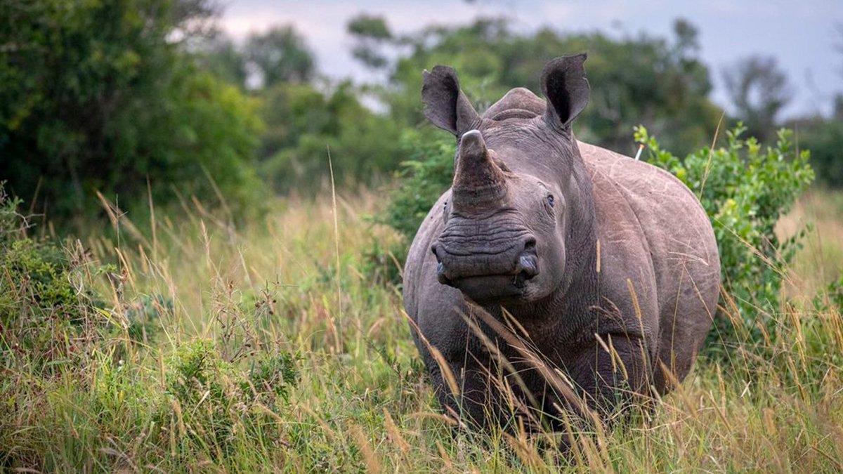 Brick Factory tweet media