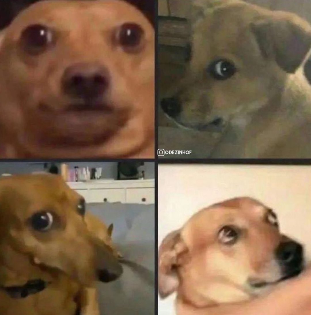 musadosmeme's tweet photo. "Nem sou tão critico"
Minha cara em todo lugar: https://t.co/894SbIwQFT