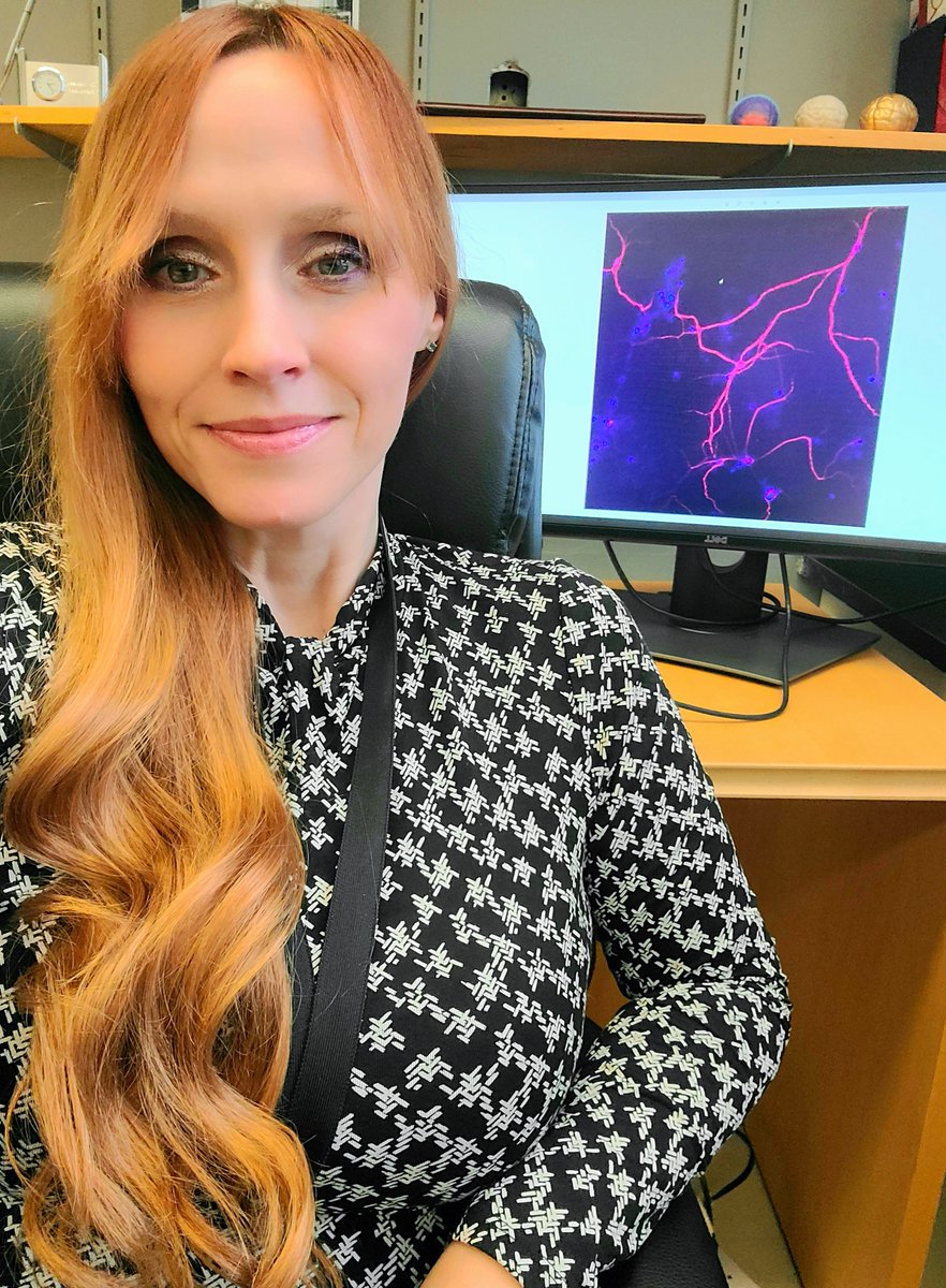 OntVetCollege's tweet photo. Congratulations to @Dr_Perreault in OVC's Dept of Biomedical Sciences for being named one of this year's UofG Research Leadership Chairs for her outstanding contributions to neuroscience research. Read the full story: https://t.co/1xleE6etsS
@UofGResearch @UofGuelphNews @uofg https://t.co/oCCc2n0Ckg