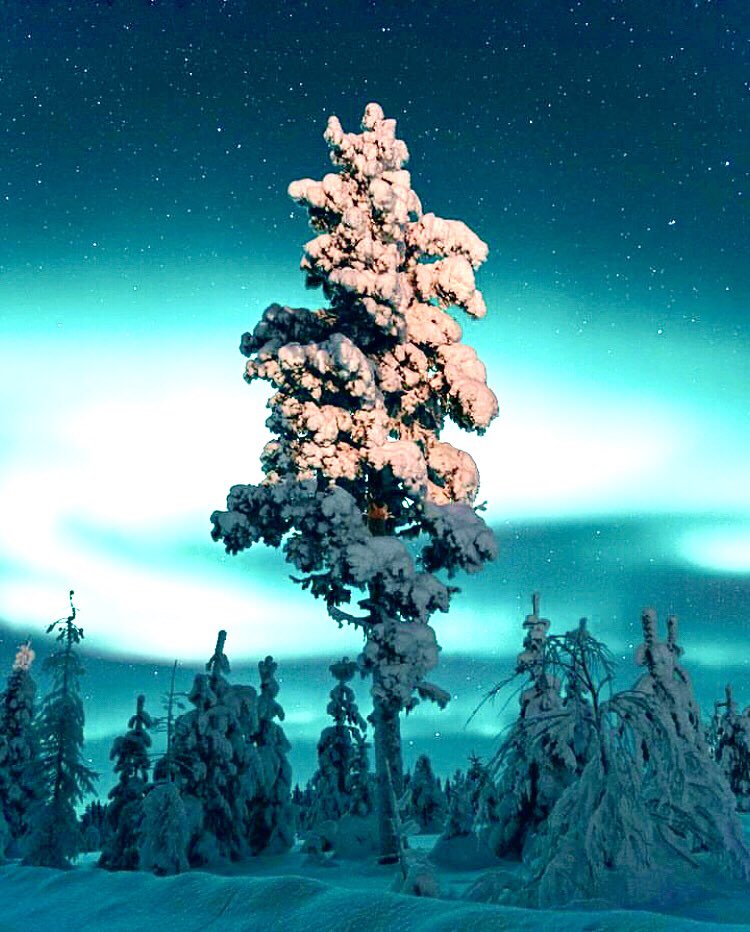 #levi #lapland #finland 🇫🇮
#winterwonderland #awesomeglobe #bestplacetogo #lukasrichter