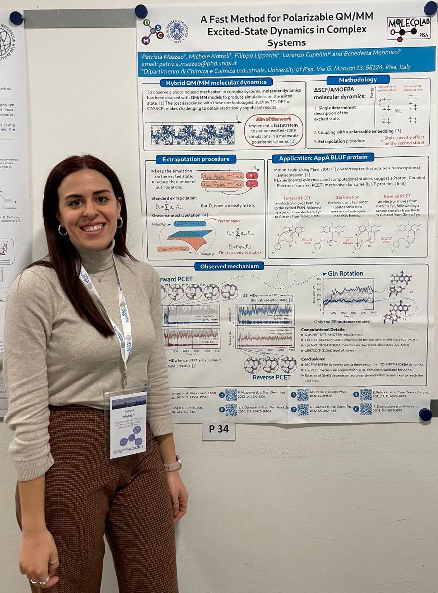 Patrizia's poster at #virapid2024 <a href="/virapid/">ViRAPID</a> in Vienna. 
Efficient excited-state dynamics with polarizable QM/MM! <a href="/patrizia_mazzeo/">Patrizia Mazzeo</a>