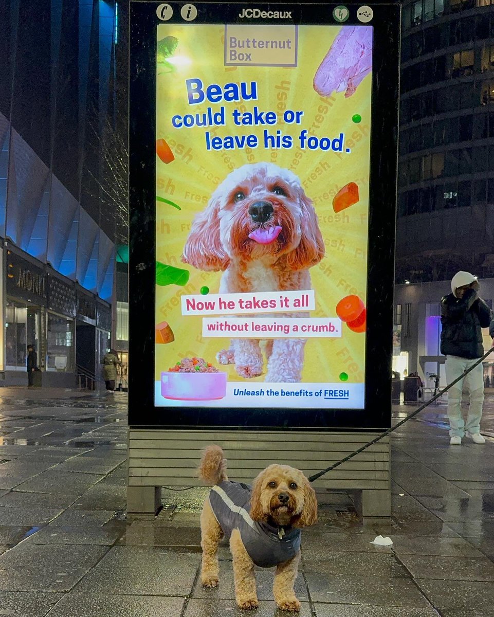 Just some Butternutters posing in front of their very own BILLBOARDS 😎🐶 Give these top dogs a woof in the comments if you think they're superstars (which they are, of course) 🌟 #DogsDeserveFame