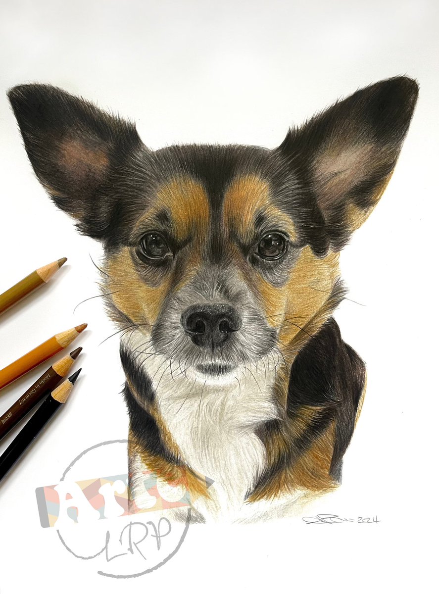 Here is one i finished recently ✏️ More colour pet portraits please! 🐶 I was so scared to start offering colour portraits as it was way out my comfort zone, but i am bloody loving doing them! #Pencildrawing #petportrait