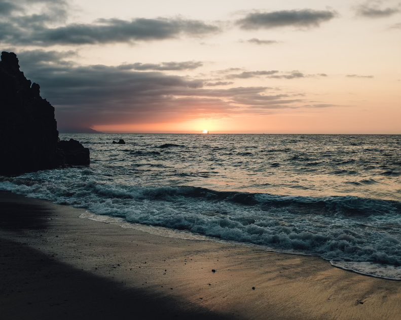 The Tryst tweet media