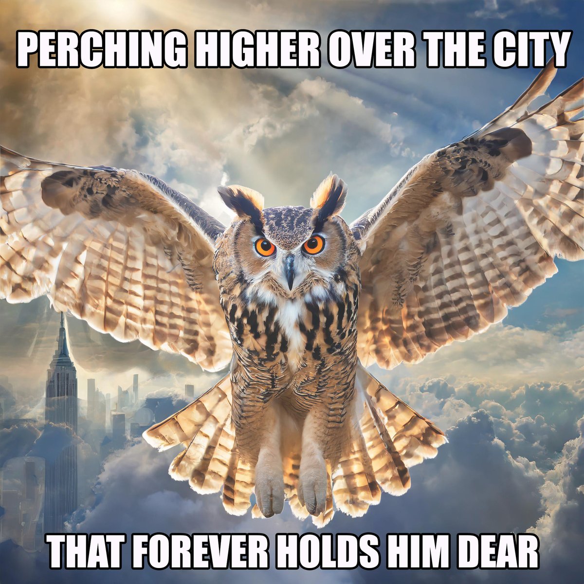 #Flaco #FlacoForever #FlacotheOwl <a href="/StellaH07773809/">Stella Hamilton</a> <a href="/BirdCentralPark/">Manhattan Bird Alert</a> <a href="/Hanabi_NYC/">Hanabi</a> <a href="/RobinHerbstPapa/">Robin</a> <a href="/davidlei/">David Lei</a> <a href="/jacquelineUWS/">Jacqueline Emery</a> <a href="/DiveArtist/">Sheryl Checkman</a> #birdcpp #NewYorkCity #CentralParkNYC #CentralPark