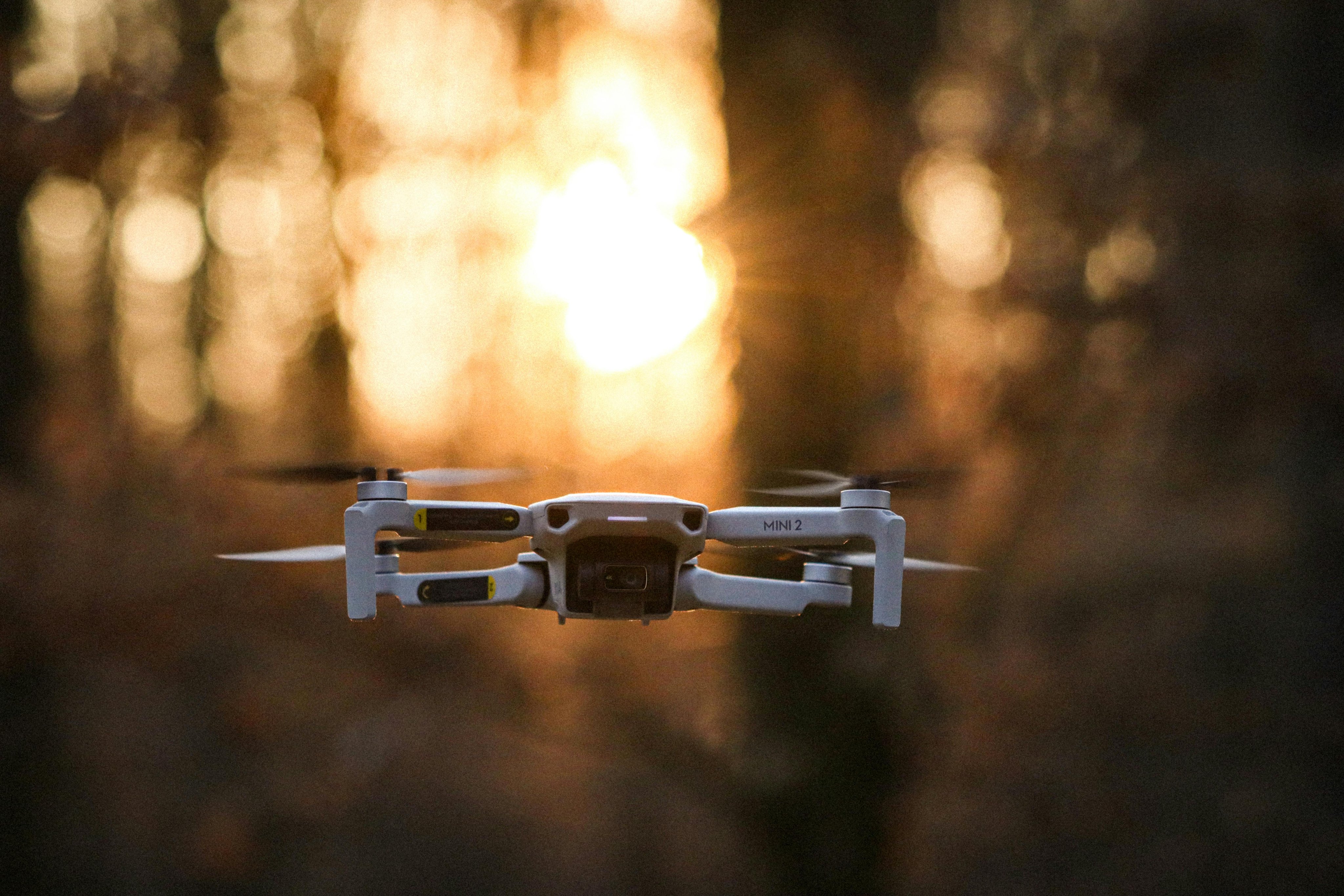 Family dollar on sale drone
