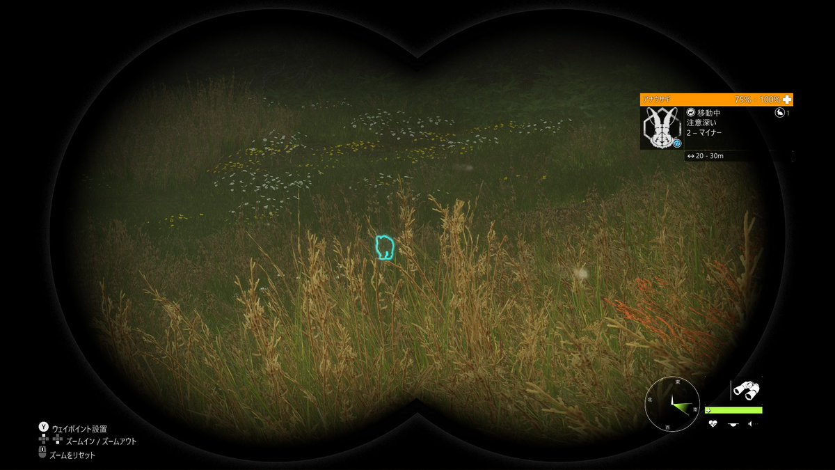 chu_chu_jp's tweet photo. #theHunterCalloftheWild 
#ザハンターコールオブザワイルド 
#COTW 
#アナウサギ 
#OryctolagusCuniculus 
#EuropeanRabbit 
やっとアナウサギの巣穴を発見🐇
そしてアナウサギ本体も発見🐰
いや…サイトのスコープで倍率上げないと分からんレベルの小ささだろ…コレ…😇 https://t.co/Skyj9pNCRd