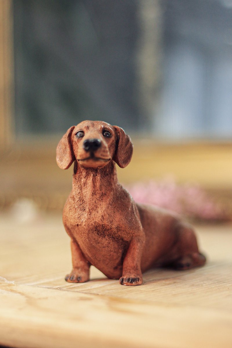 Retour Chez Mémé 👛 tweet media