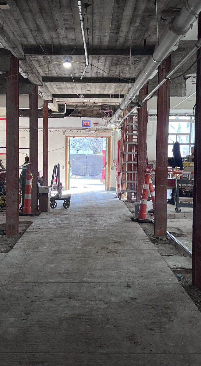 MagdalenLindebe's tweet image. Really exciting to see the progress on renovation of the @CornellCALS Plant Science Building! Looking forward to modern facilities in our historic building