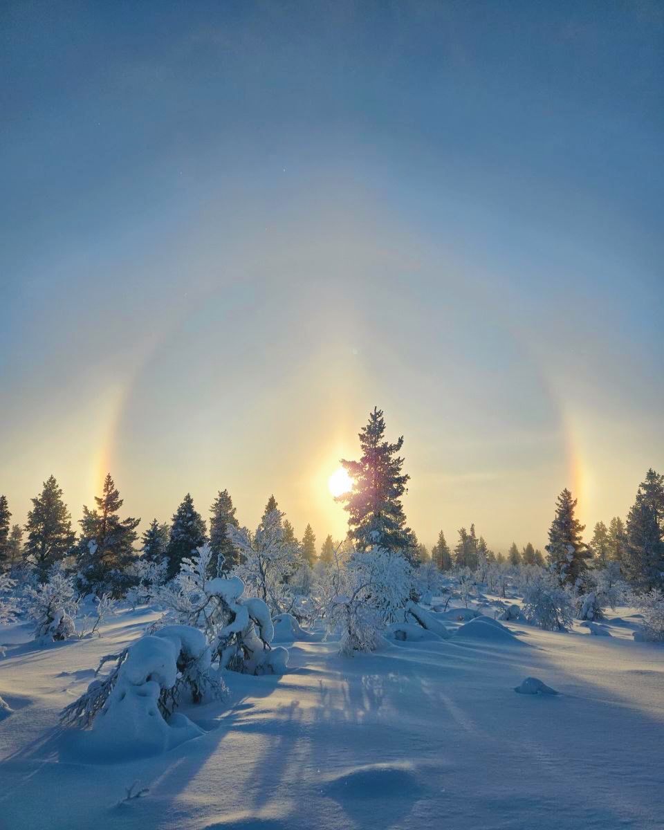 Kate Mackay tweet media