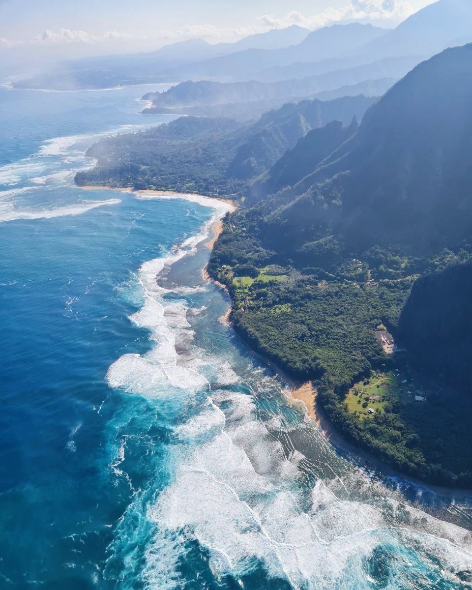 Kate Mackay tweet media