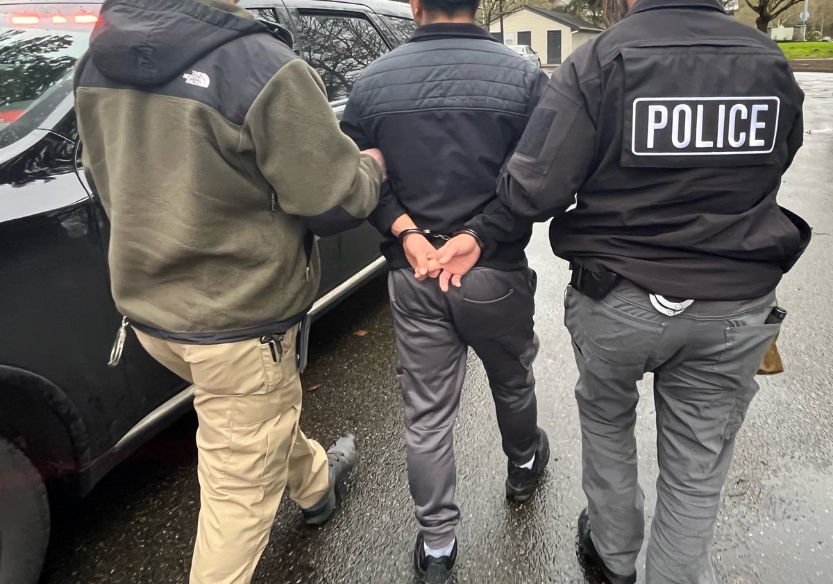 ERO Seattle arrested 12 noncitizens with criminal sex offense convictions, as part of a national #ICEERO operation: ice.gov/news/releases/…