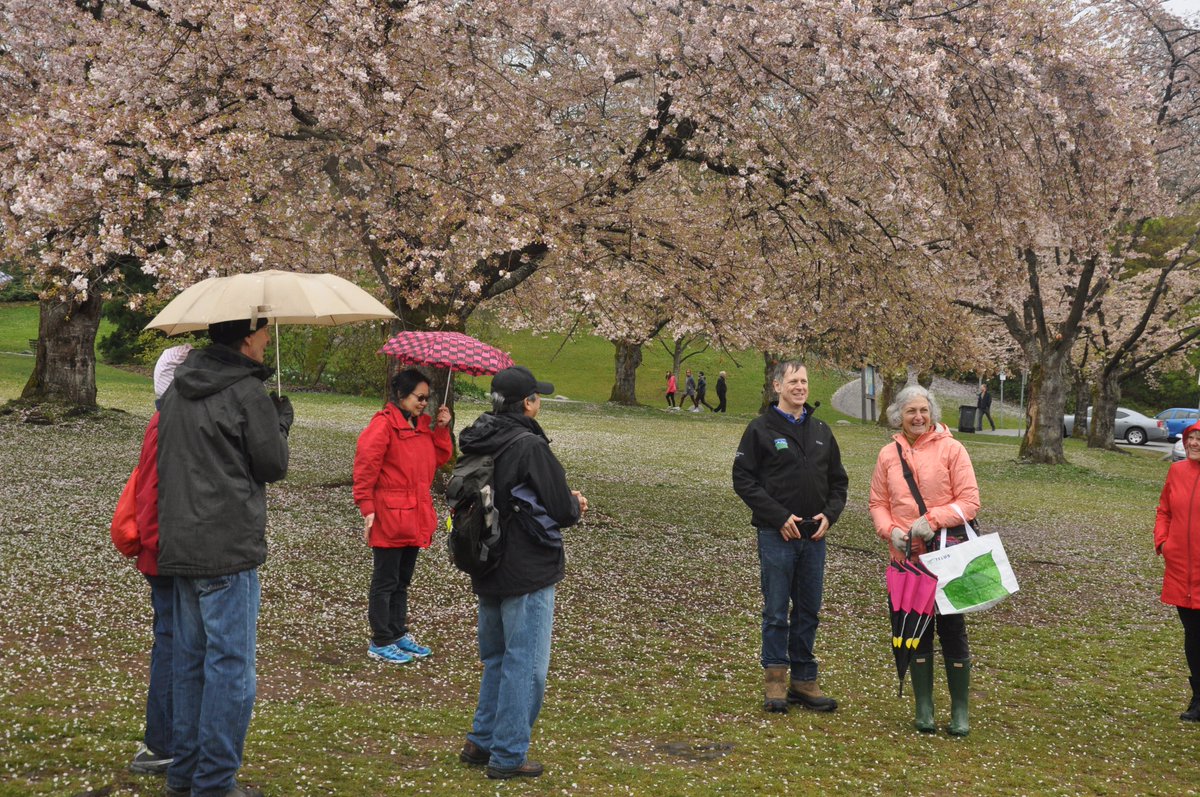 The popular #TreeTalksandWalks are back again this Spring! Our schedule is now out: vcbf.ca/festival/tree-… Registration will open 🔔 March 5, 2024 at 10:00AM - PT. Please read our registration policy carefully (vcbf.ca/tree-talks-and…) before signing up. #Vancouver #Events