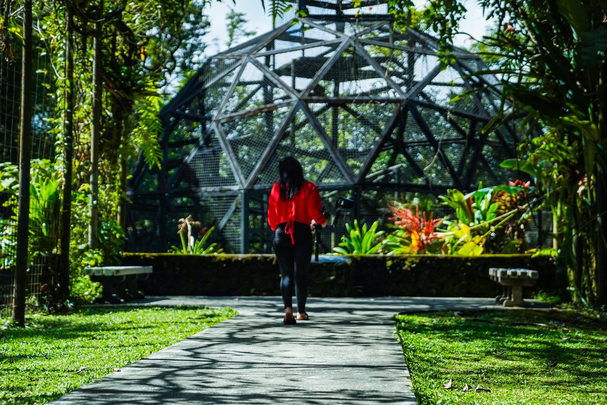 MitchyDaFishy tweet media