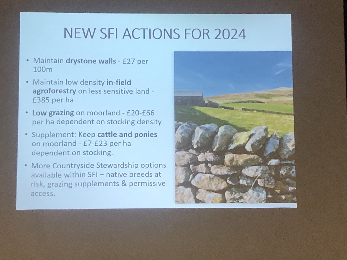 Concerned Lake District Farmers discussing native breeds are saying LD hill sheep must be included as so many are being taken.