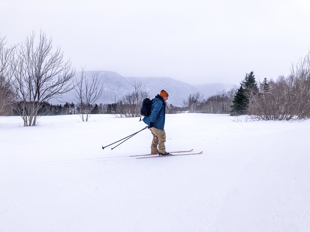 Chuck Wrathall tweet media