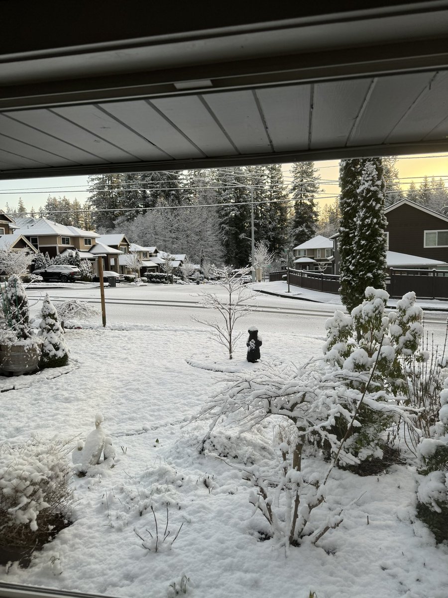 LakeShowLes's tweet photo. @KSeattleWeather ⛄️ ❄️ snow here in Everett https://t.co/lXVyvrgJse