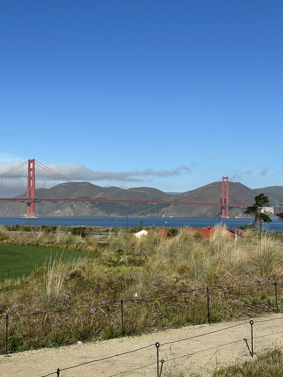 dawn_wallet's tweet image. We’ve moved into our office in the Presidio, SF 🎉
Come by and say hi! We are just in front of the House of Web3 @thehouseofweb3