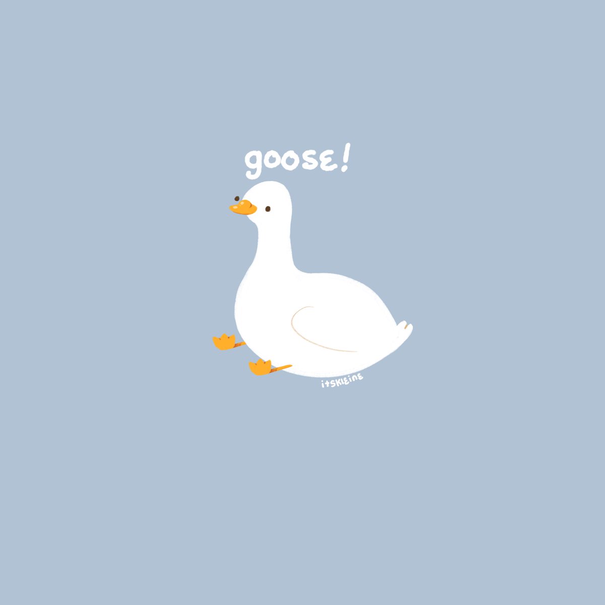 itskleine's tweet photo. 🦆 https://t.co/hdpioFob7m