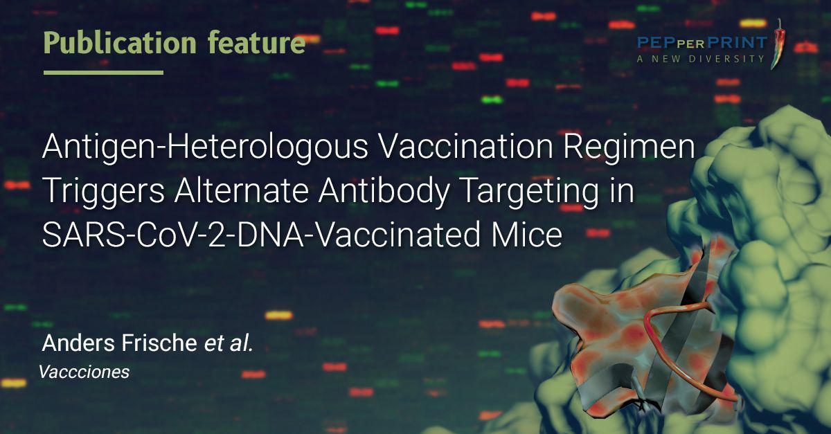 PEPperCHIP's tweet image. Explore Frische&apos;s latest post-SARS-CoV-2-vaccination antibody epitope research for key vaccine insights. Heterologous regimens show enhanced neutralization breadth, promising for SARS-CoV-2 vaccine development: buff.ly/48zX4At #EpitopeMapping #PeptideMicroarrays