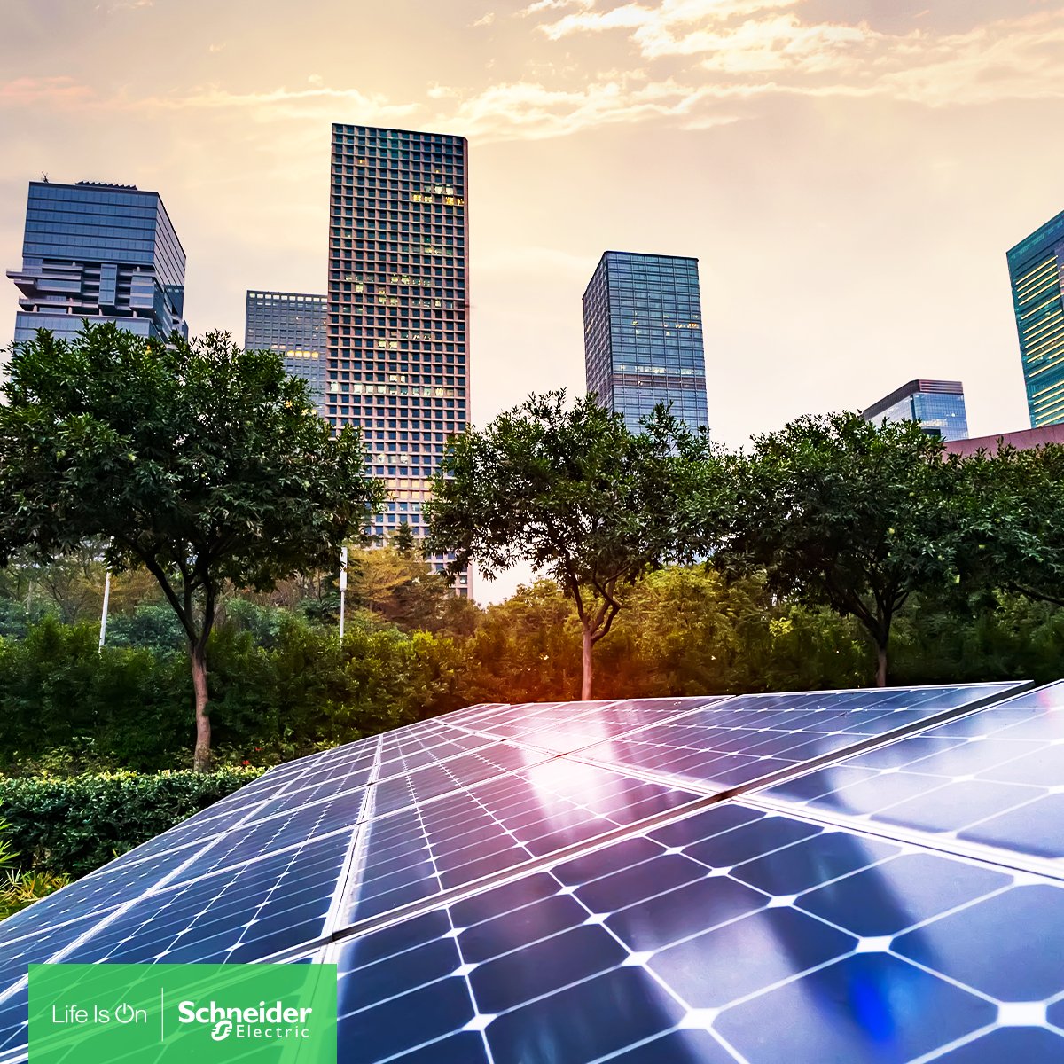 Power digitalisation, also known as 'Electricity 4.0,' is crucial for Life Sciences, addressing challenges in reliability, safety, and sustainability. Integrating IoT devices into electrical power management software, (cont) spr.ly/l/6019X6i05