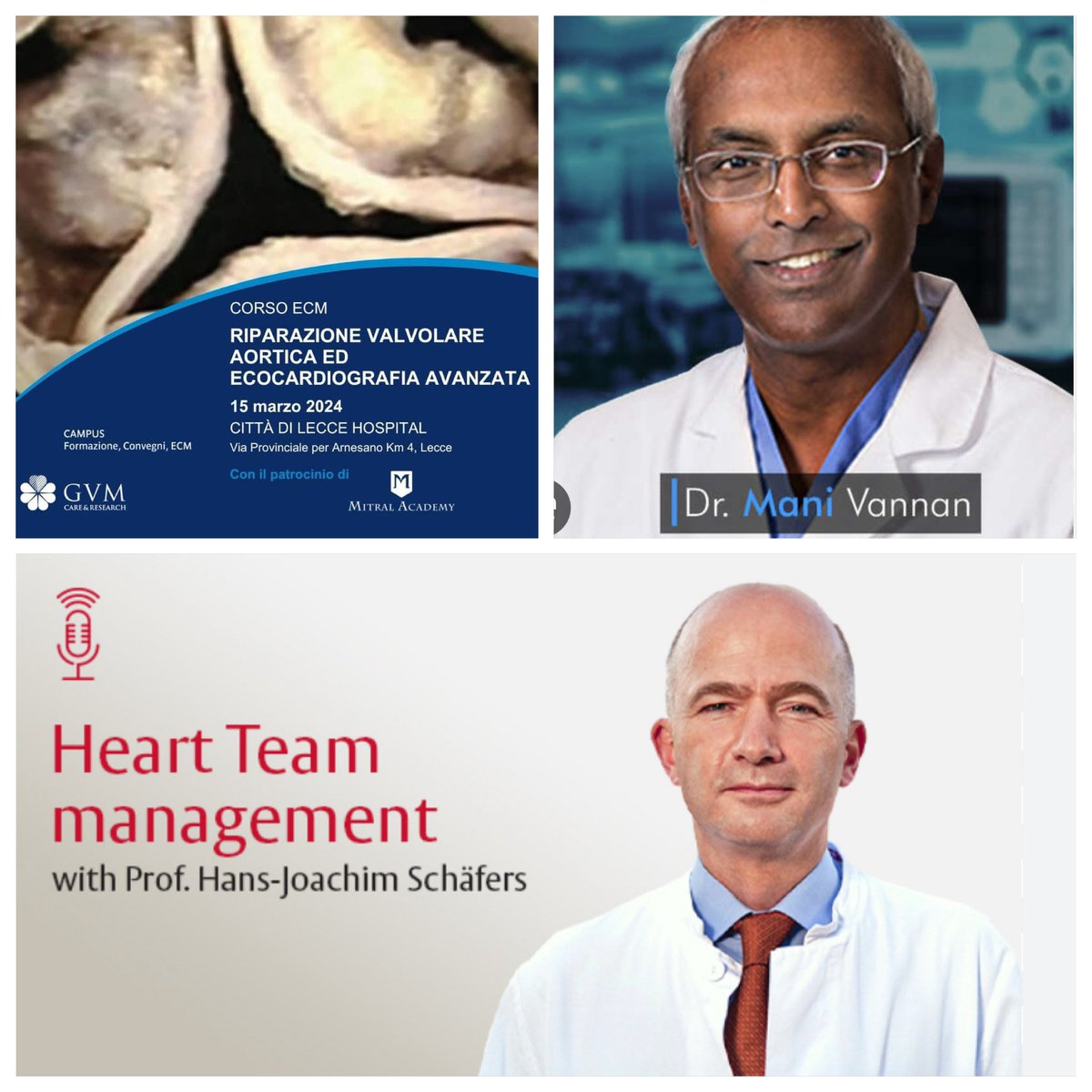 I’m thrilled to announce our upcoming meeting at “Città di Lecce Hospital - GVM” that will host international experts in cardiac surgery and imaging. Focus on “Aortic Valve Repair” with Live Surgery led by @schaefers_hans and video connection from Atlanta with @ManiVannanheart…