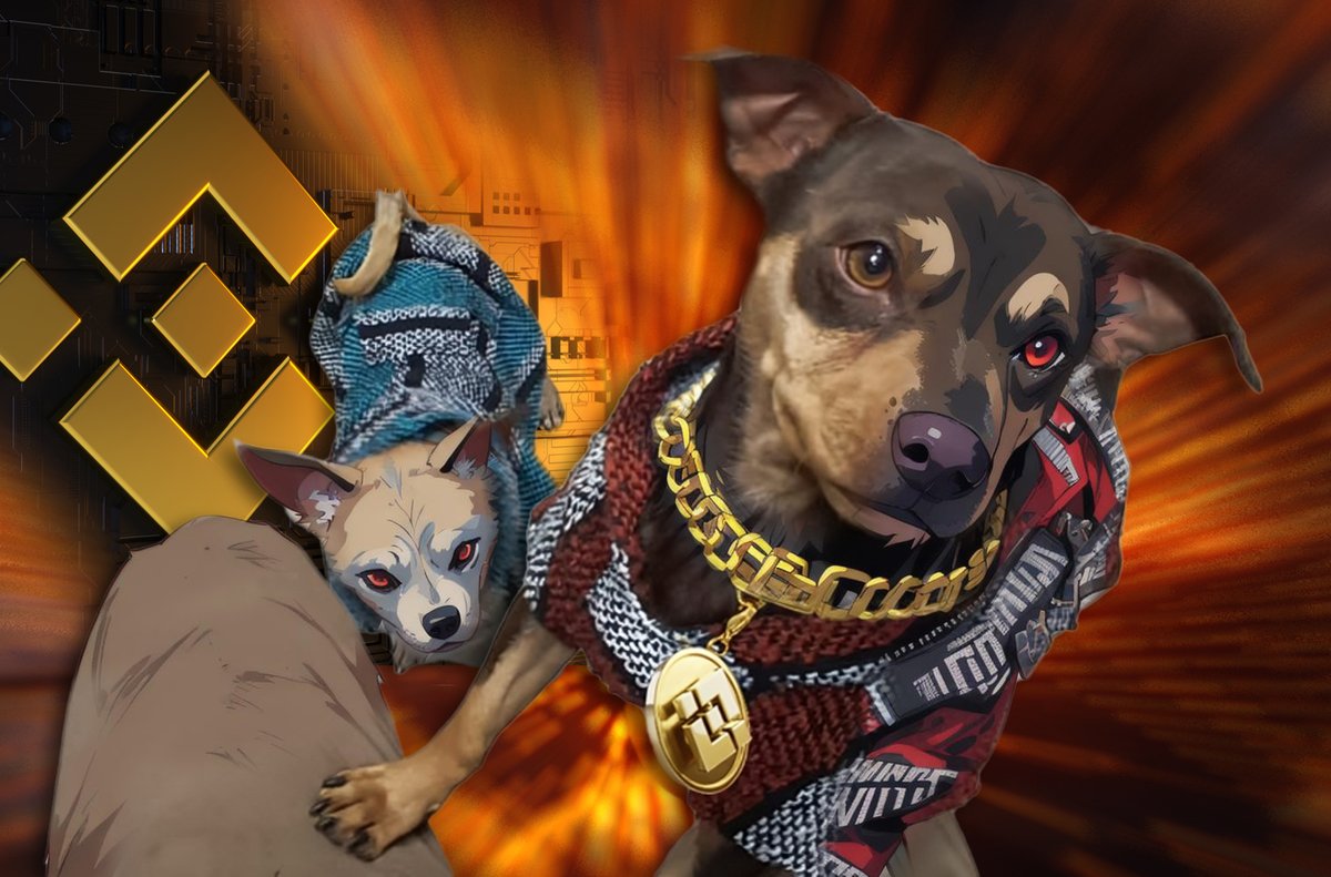 cf5's tweet photo. @binance #BinanceDog https://t.co/O5UxHM5XHr