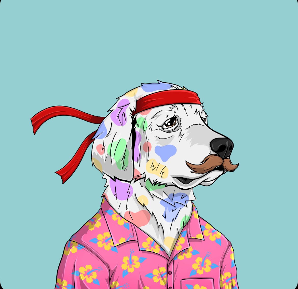 proter.algo tweet media