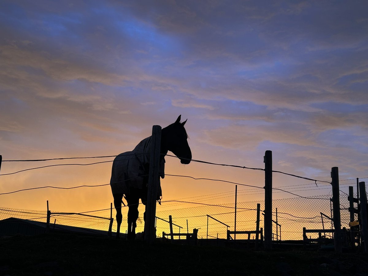 Another severe weather day ahead with a high of 35° and the chance of a thunderstorm (possibly severe). Meanwhile enjoy these views from Warrnambool Racecourse #warrnamboolweatherreport