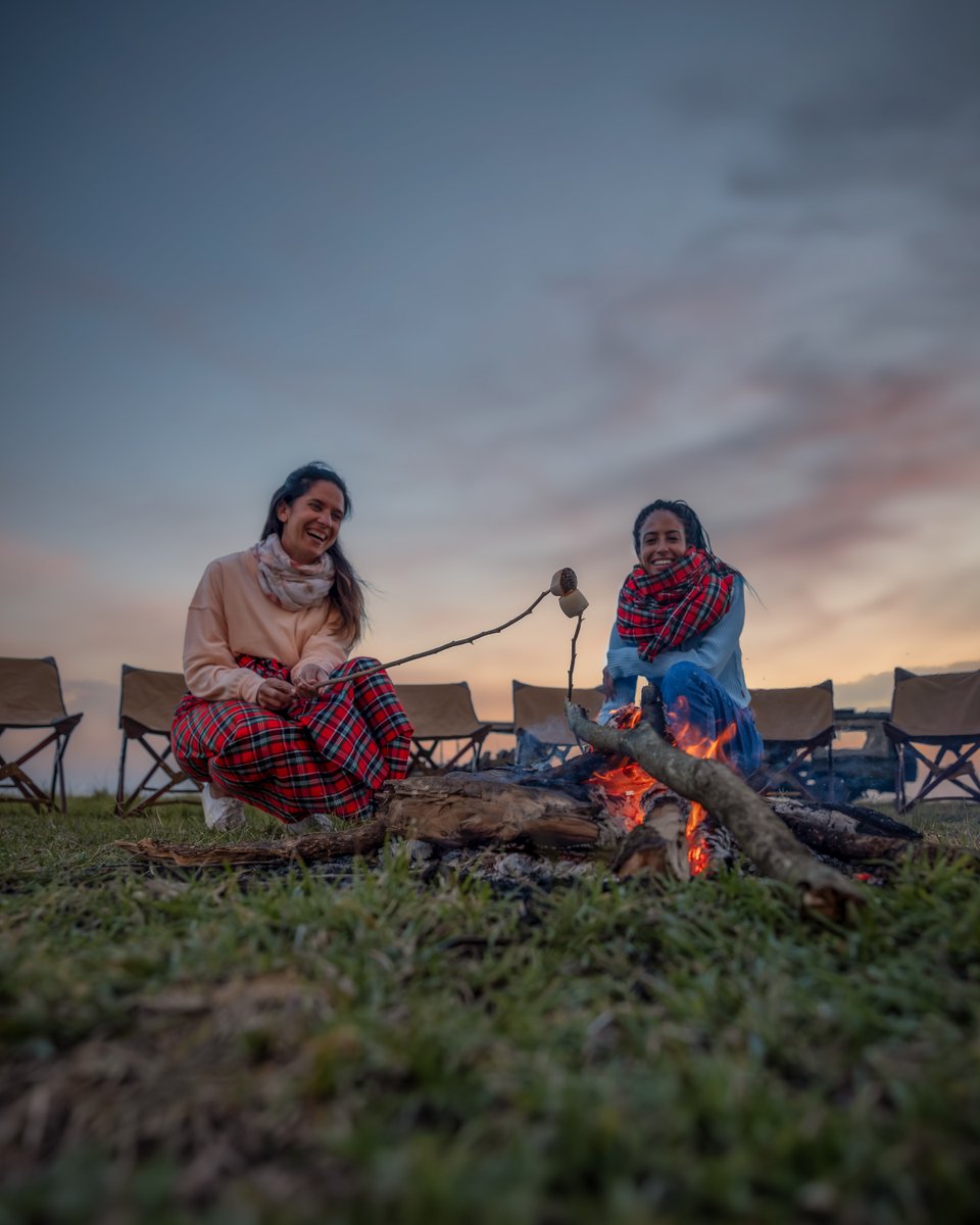 Elephant Pepper Camp tweet media