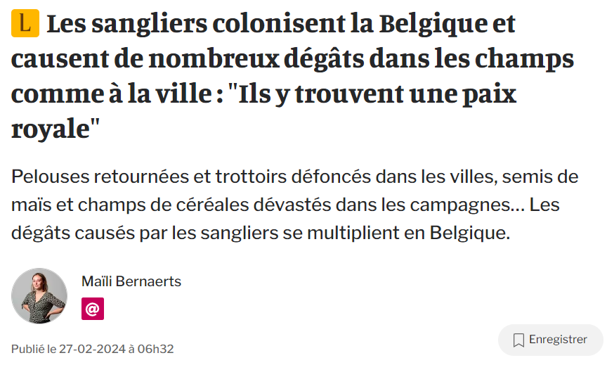 Cdt_Sylvestre's tweet image. Surprise ! 🐗 #MerciWilly