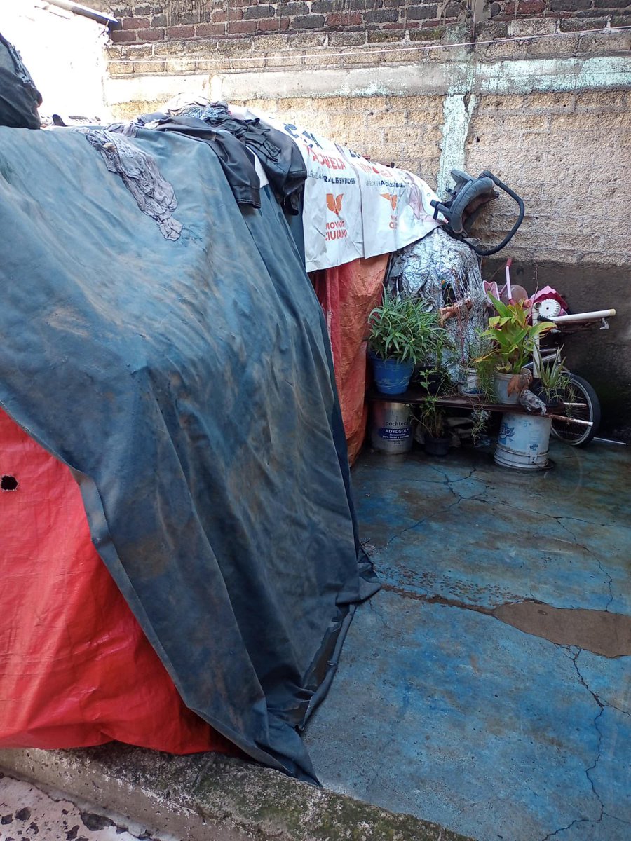 andreamroji's tweet photo. @AgatanCdmx ayuda con una denuncia realizada hace semanas sobre maltrato animal y zoofilia. Se levantó la denuncia con @PAOTmx y no han dado respuesta / seguimiento. @TuAlcaldiaGAM No hay respuesta! https://t.co/k12HqzFHNY