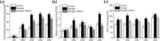 Hortres's tweet photo. Discovering the intricate dance of anthocyanin biosynthesis in grapes under drought stress unveils ABA's pivotal role. #GrapeScience #Anthocyanins 

@OxfordJournals

Details: https://t.co/fWPubxGR5D https://t.co/jpP6vzSbAk